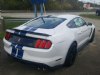 2017 Ford Mustang Shelby GT350 , Connellsville, PA