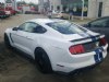 2017 Ford Mustang Shelby GT350 , Connellsville, PA