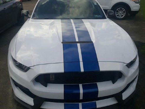 2017 Ford Mustang Shelby GT350 , Connellsville, PA