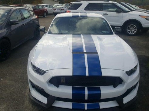 2017 Ford Mustang Shelby GT350 , Connellsville, PA